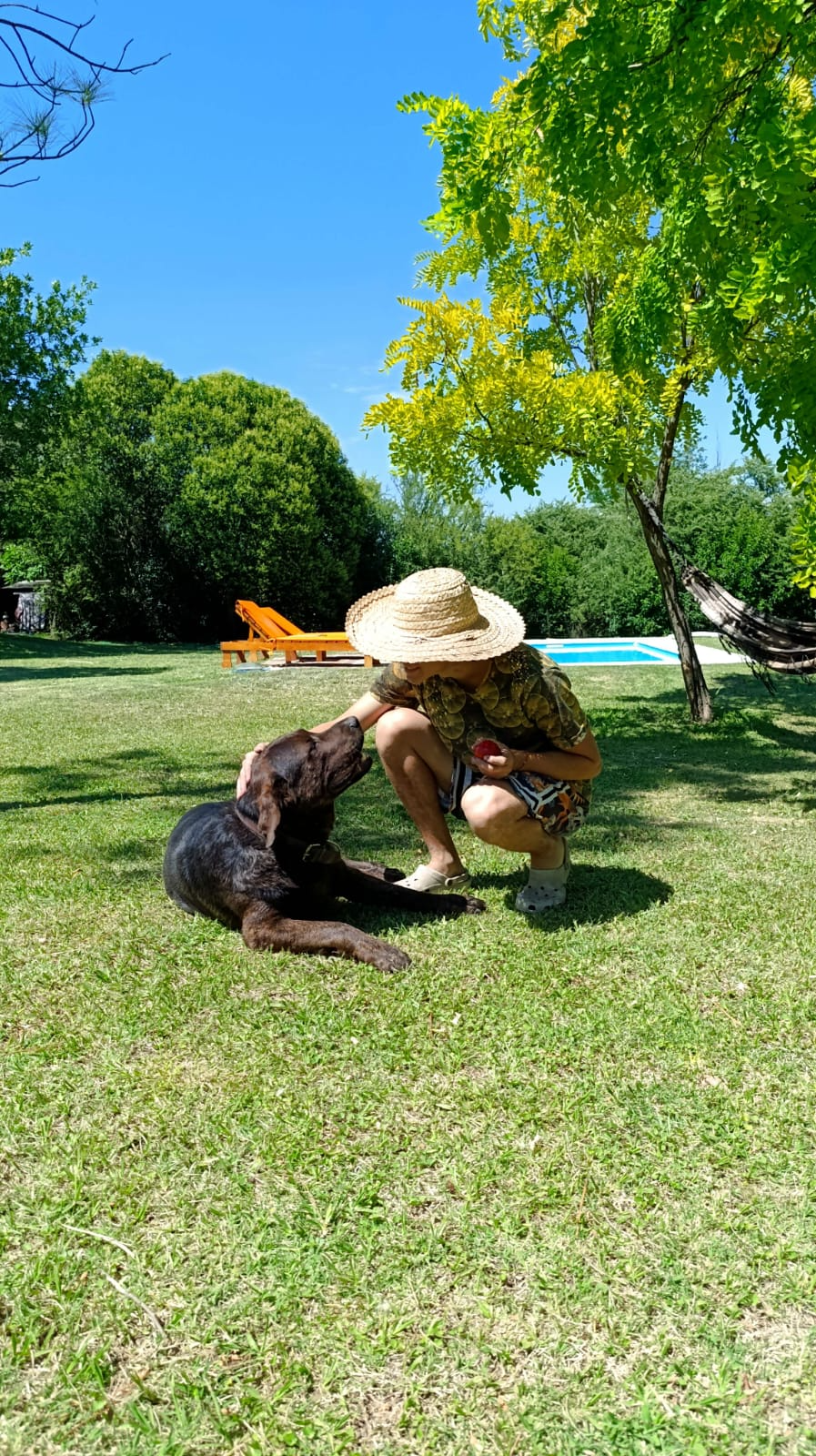 mascota